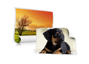 Rolled Canvas Printing